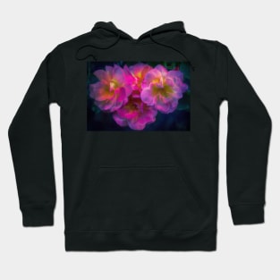 Rose 413 Hoodie